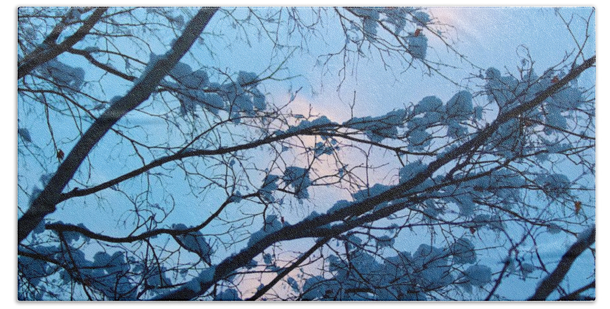 Blue Bath Towel featuring the photograph Winter sky and snowy Japanese Maple by Allan Morrison