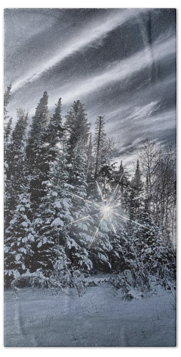 Star Bath Towel featuring the photograph Winter Star by David Andersen