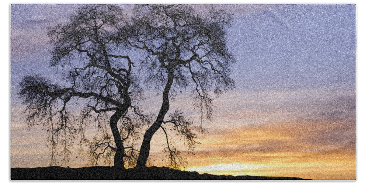 Sunrise Bath Towel featuring the photograph Winter Sunrise With Tree Silhouette by Priya Ghose