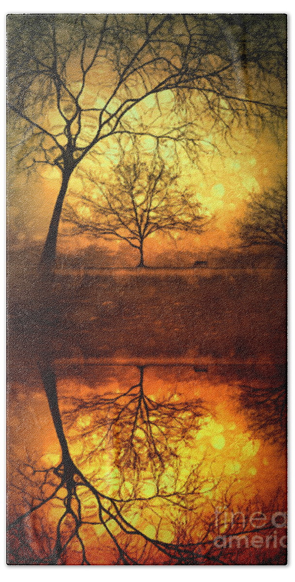 Trees Bath Towel featuring the photograph Winter Warmth by Tara Turner