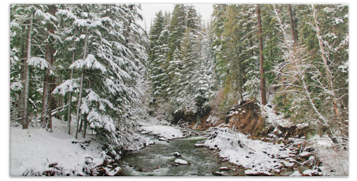 Trees Bath Towel featuring the photograph Winter Wonderland by Athena Mckinzie