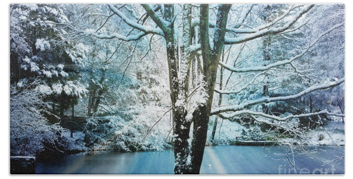 Snow Bath Towel featuring the photograph Winter Wonderland by Judy Palkimas