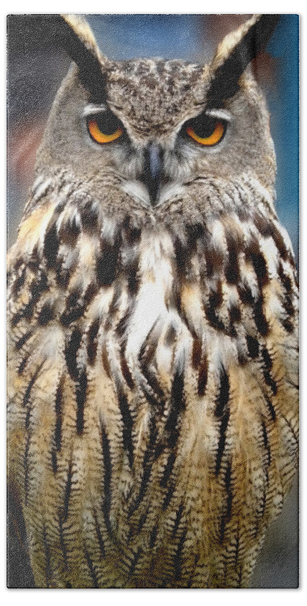Colette Hand Towel featuring the photograph Wise forest mountain Owl Spain by Colette V Hera Guggenheim