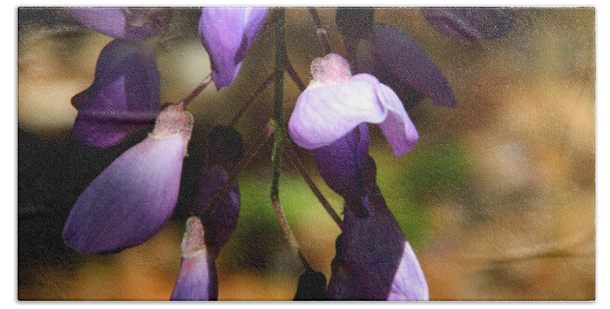 Wisteria Hand Towel featuring the photograph Wisteria 2 by Andrea Anderegg