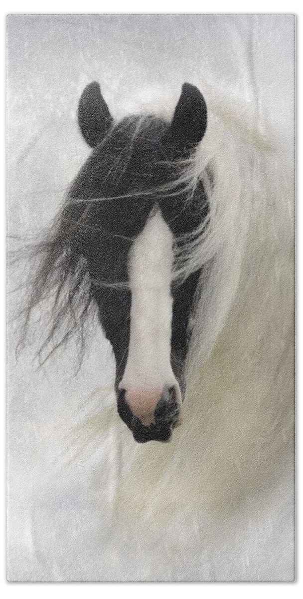 Horses Hand Towel featuring the photograph Wisteria by Fran J Scott