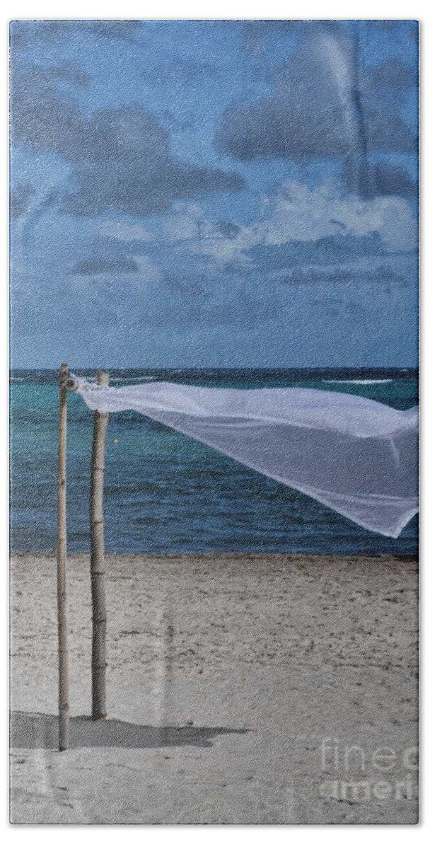 Cotton Bath Towel featuring the photograph With The Wind by Judy Wolinsky