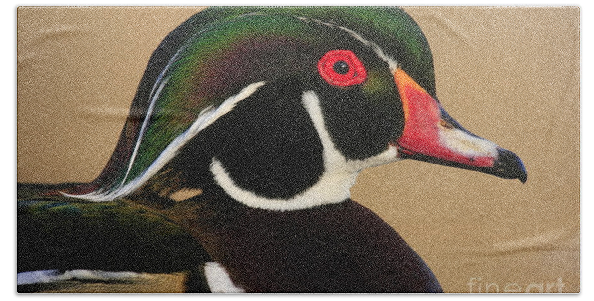 Landscapes Hand Towel featuring the photograph Wood Duck Color by John F Tsumas