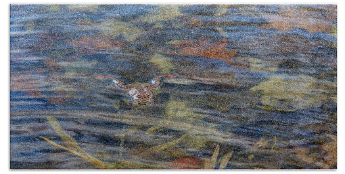 Frog Bath Towel featuring the photograph Wood Frog by Bill Wakeley
