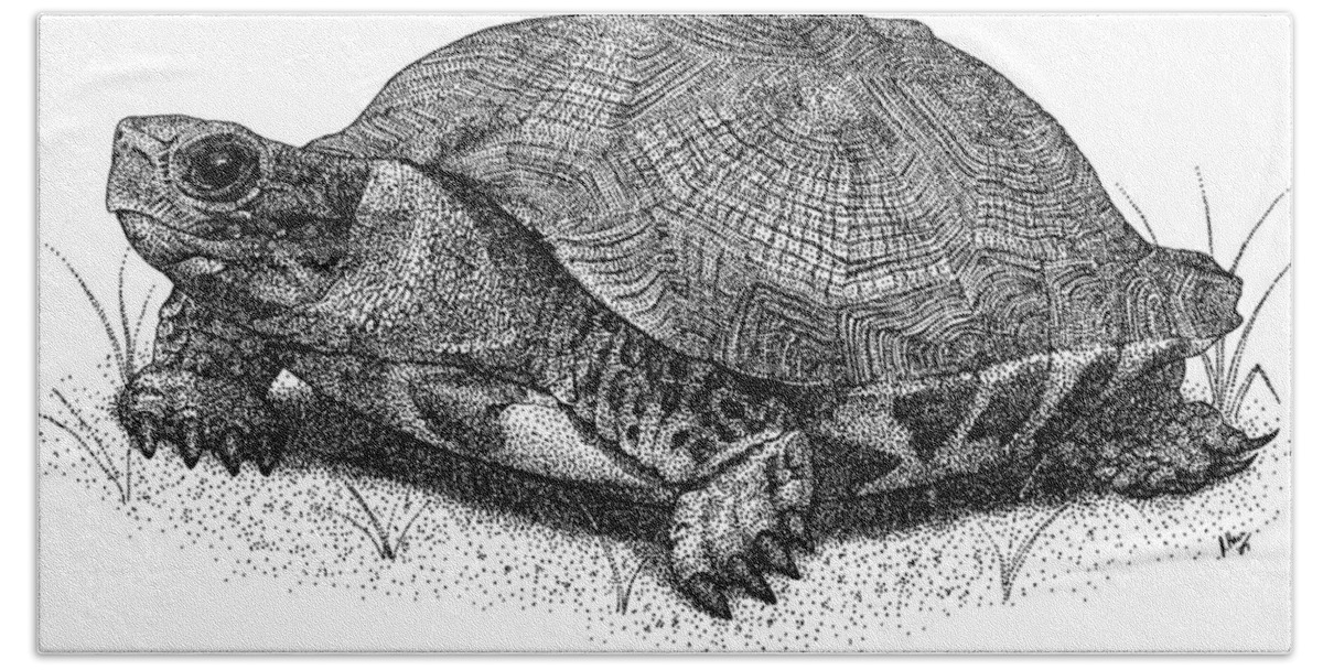 Wood Turtle Bath Towel featuring the photograph Wood Turtle by Roger Hall