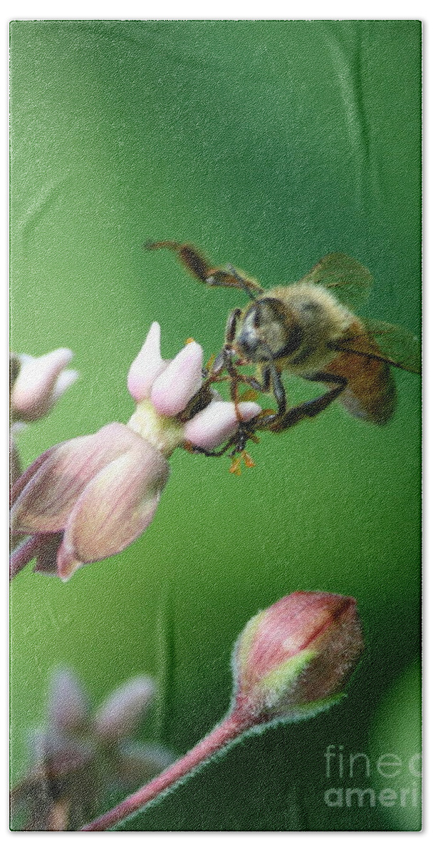Bee Hand Towel featuring the photograph Working Honey Bee by Neal Eslinger