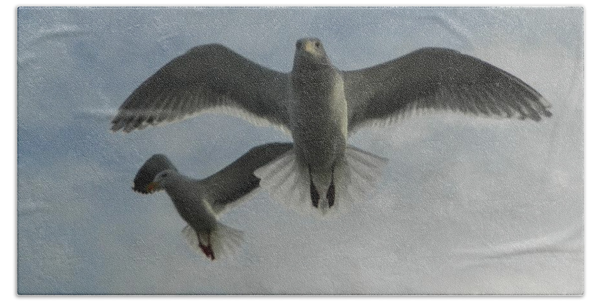 Birds Bath Towel featuring the photograph Wow Seagulls 1 by Gallery Of Hope 