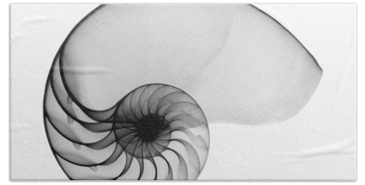Radiograph Bath Towel featuring the photograph X-ray Of Nautilus by Bert Myers