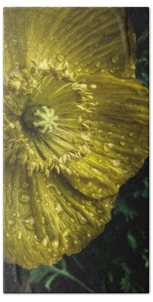  Yellow Flowers Bath Towel featuring the digital art Yellow Beauty by Linda Unger