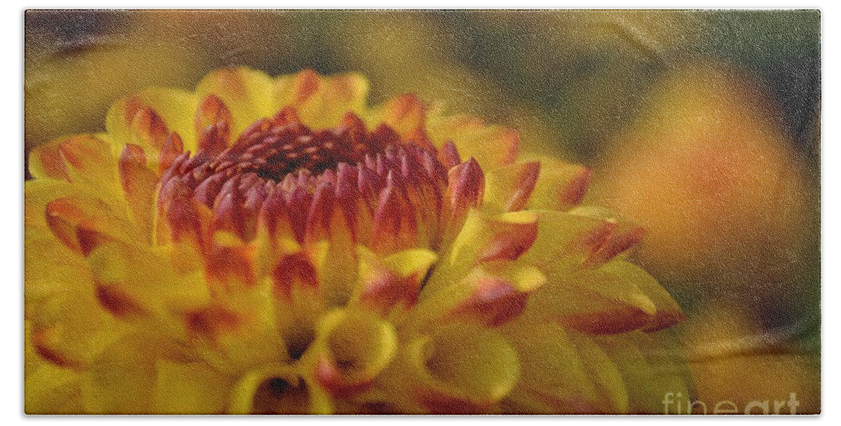 Close Hand Towel featuring the photograph Yellow Dahlia Red Tips by Scott Lyons