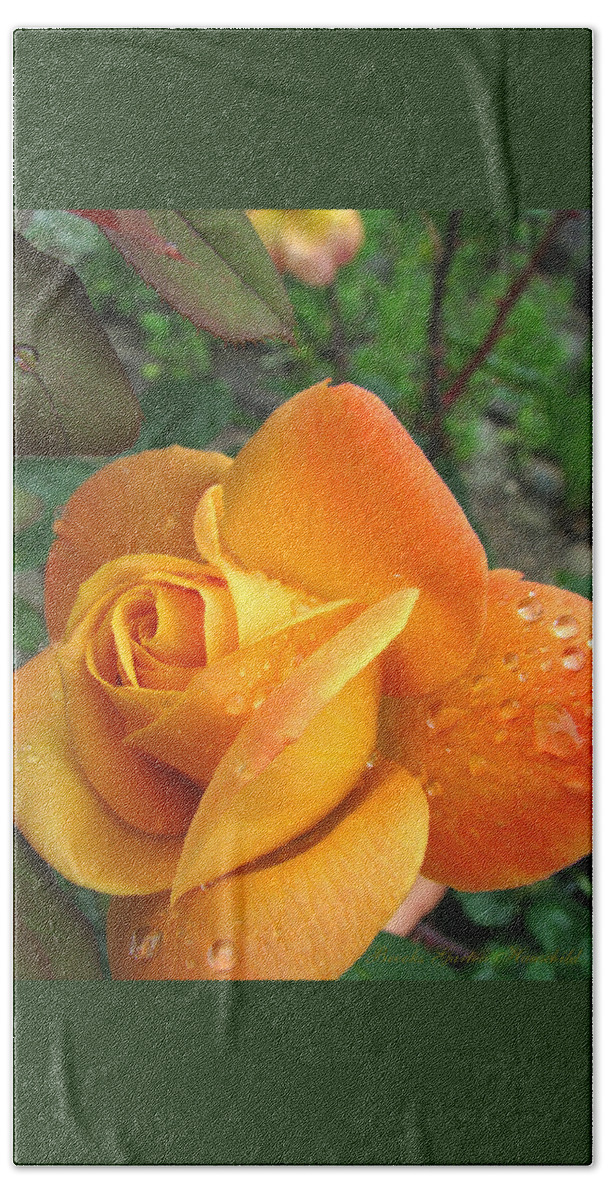 Gold Roses Hand Towel featuring the photograph Yellow-Gold Goddess - Rose Art - Floral Photography by Brooks Garten Hauschild