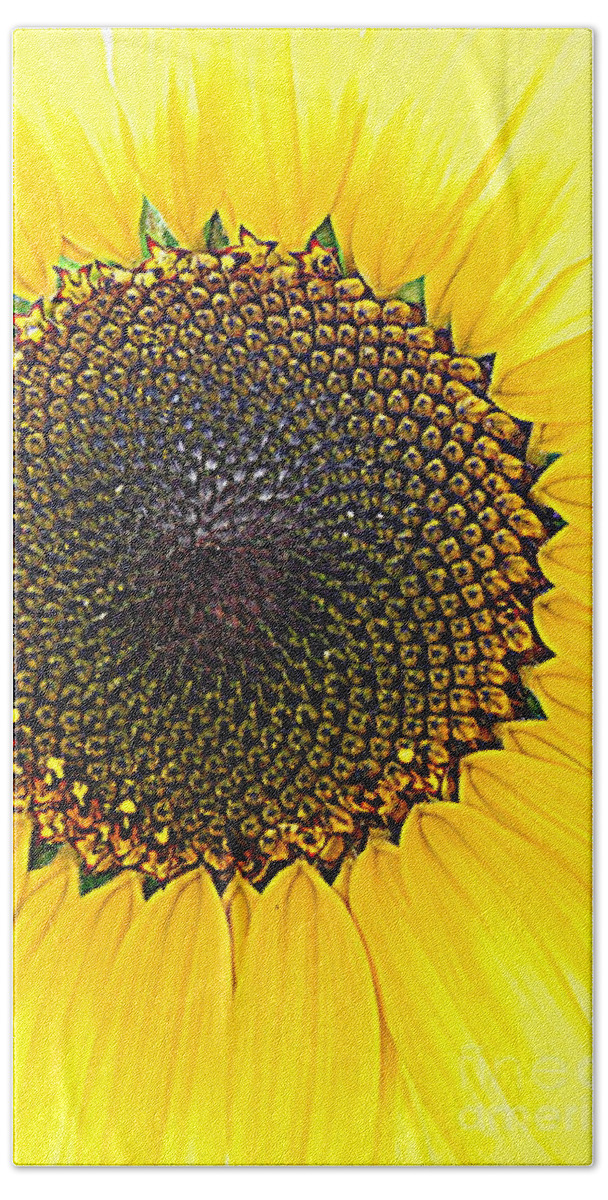 Yellow Bath Towel featuring the photograph Sunny And Bright Sunflower by Eunice Miller