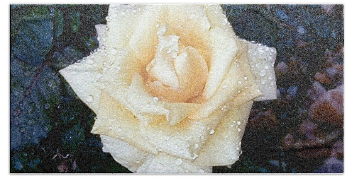 Rose Bath Towel featuring the photograph Yellow Rose At Dawn by Alys Caviness-Gober