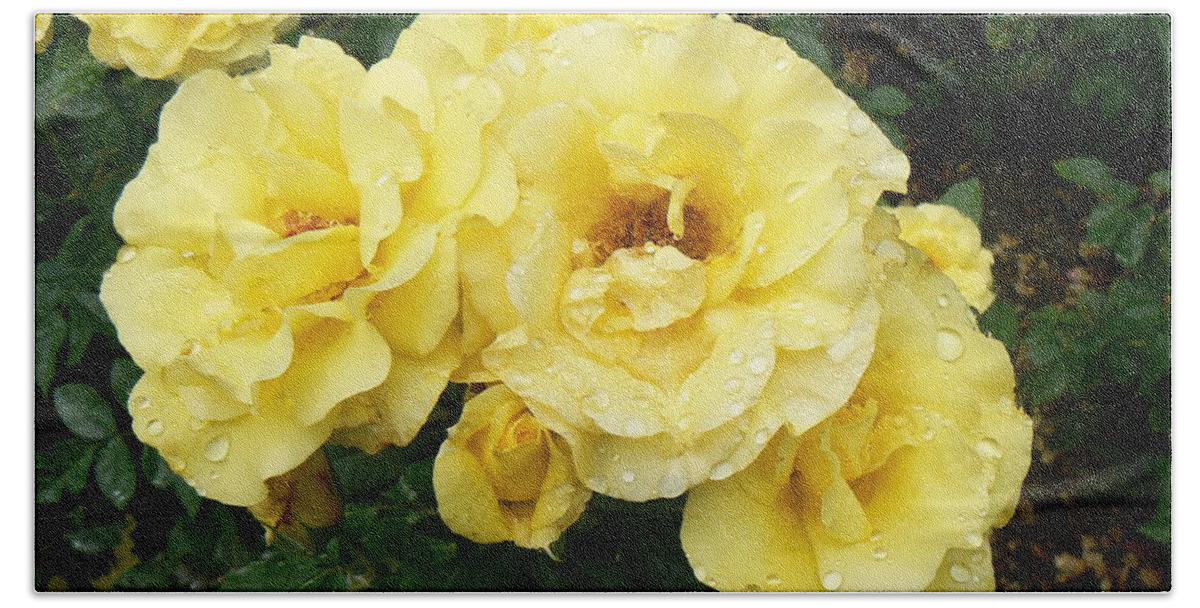 Rose Bath Towel featuring the photograph Yellow Rose of PA by Michael Porchik