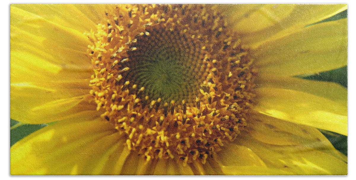 Sunflower Hand Towel featuring the photograph Yellow Sunshine by Neal Eslinger