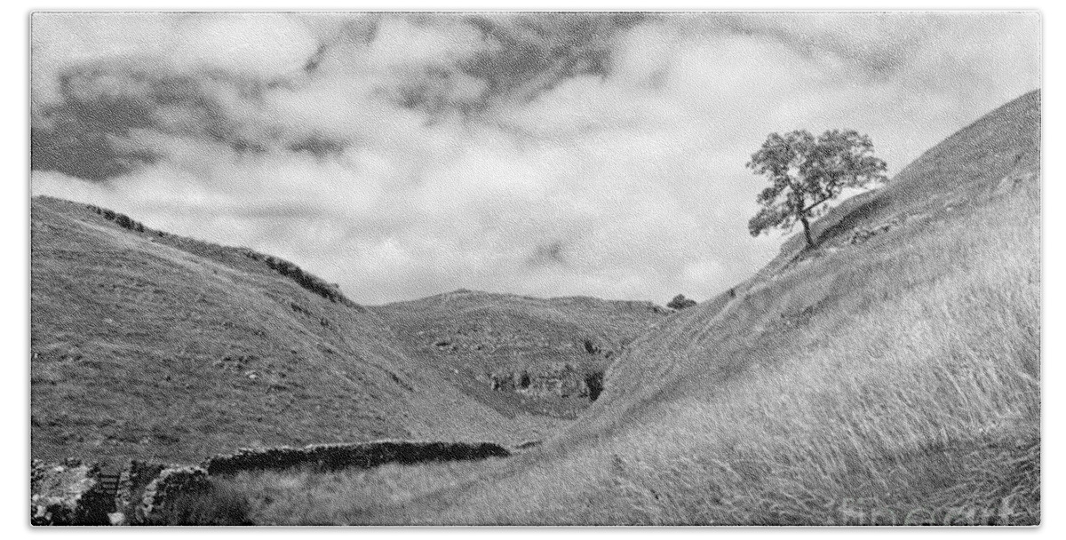 Yorkshire Dales Dramatic British English England Britain Landscape Countryside Hills Uk United Kingdom Tree Slope Dry Stone Wall Scenic Scenery Lone Single Atmospheric Mono Black And White Hand Towel featuring the photograph Lone tree in the Yorkshire Dales by Julia Gavin