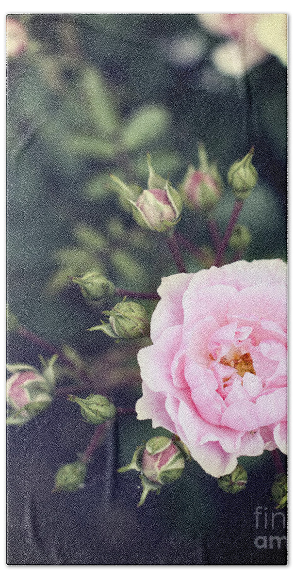 Photography Bath Towel featuring the photograph You had me at hello - pink rose photo by Ivy Ho