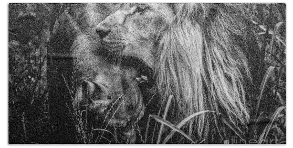 Africa Hand Towel featuring the photograph You will be queen by Traven Milovich