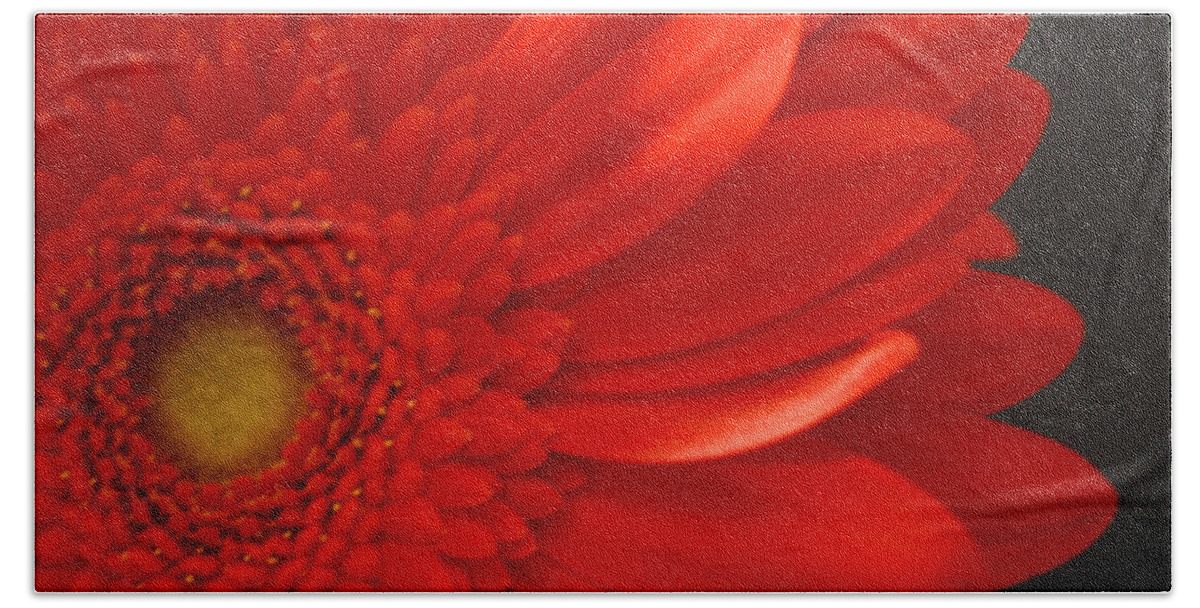 #gerbera #flower #macro #floral #print #photography #fineart #artist #beauty #botanical #beautiful Hand Towel featuring the photograph Beautiful by Jacquelinemari