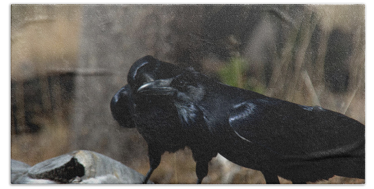 Raven Bath Towel featuring the photograph You've got something on your beak by Frank Madia