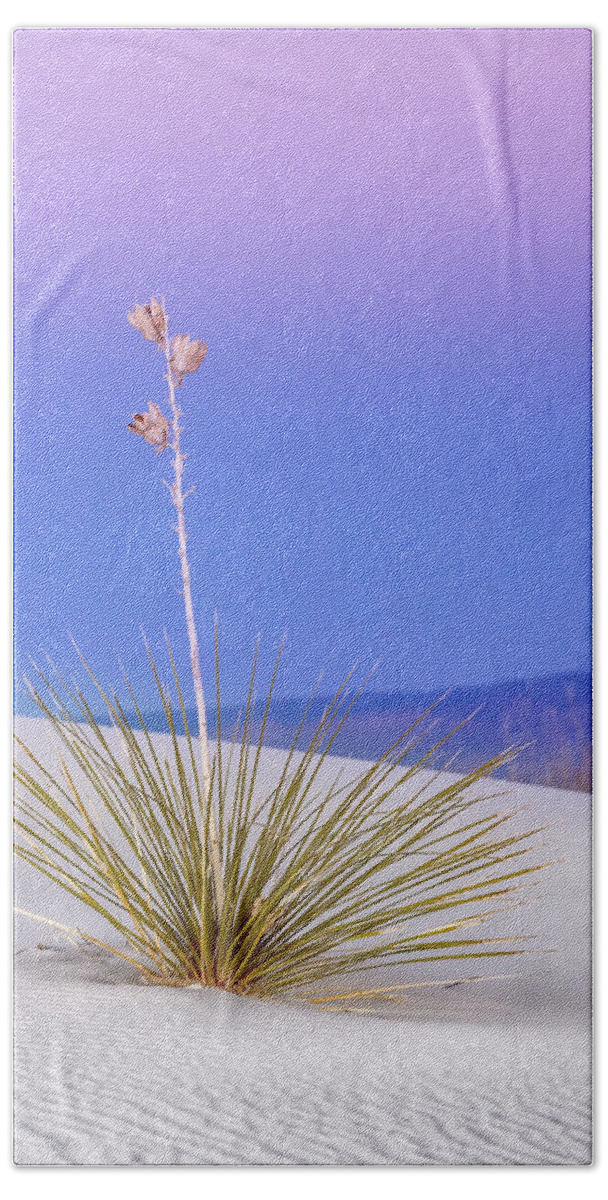 Yucca Bath Towel featuring the photograph Yucca Pink and Blue by Kristal Kraft