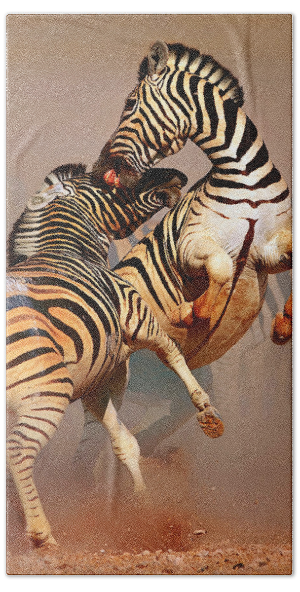 Wild Hand Towel featuring the photograph Zebras fighting by Johan Swanepoel