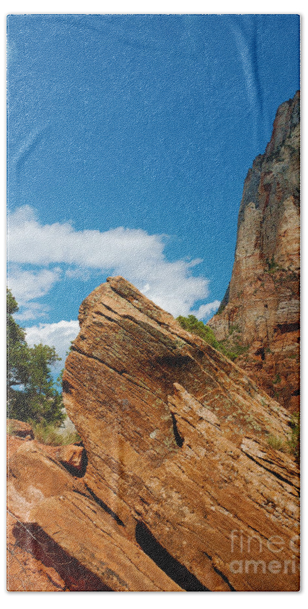 Zion Bath Towel featuring the photograph Zion National Park 4 by Micah May