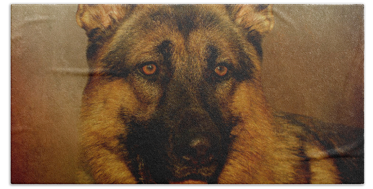 Dog Hand Towel featuring the photograph Chance #1 by Sandy Keeton