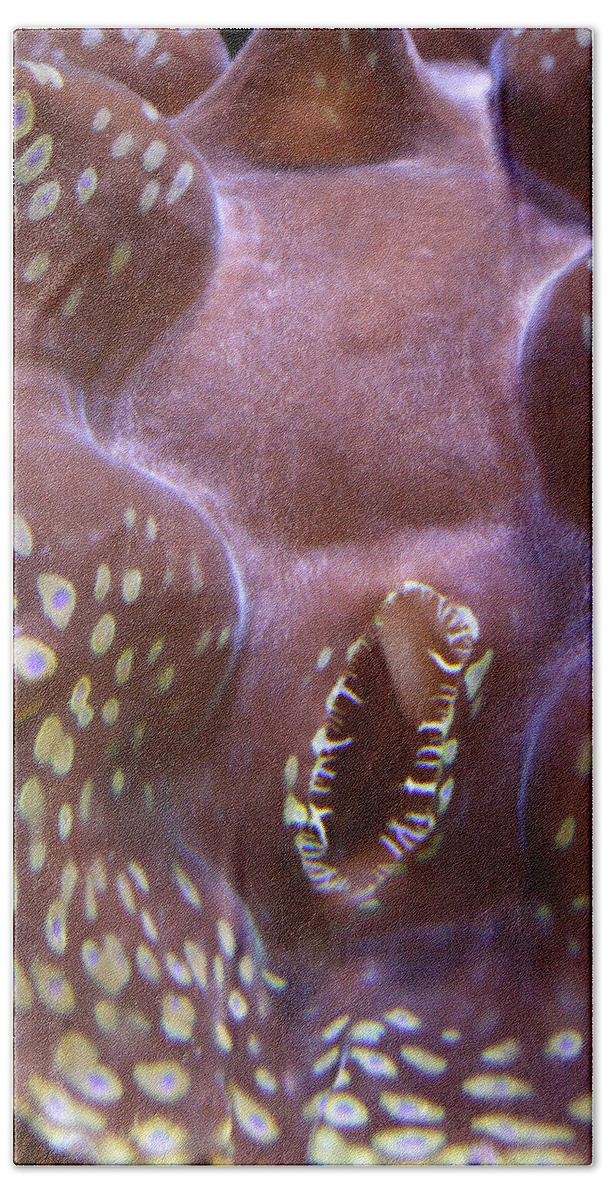 Waikiki Aquarium Hand Towel featuring the photograph Giant Clam in Pink with Yellow Spots #1 by Jennifer Bright Burr