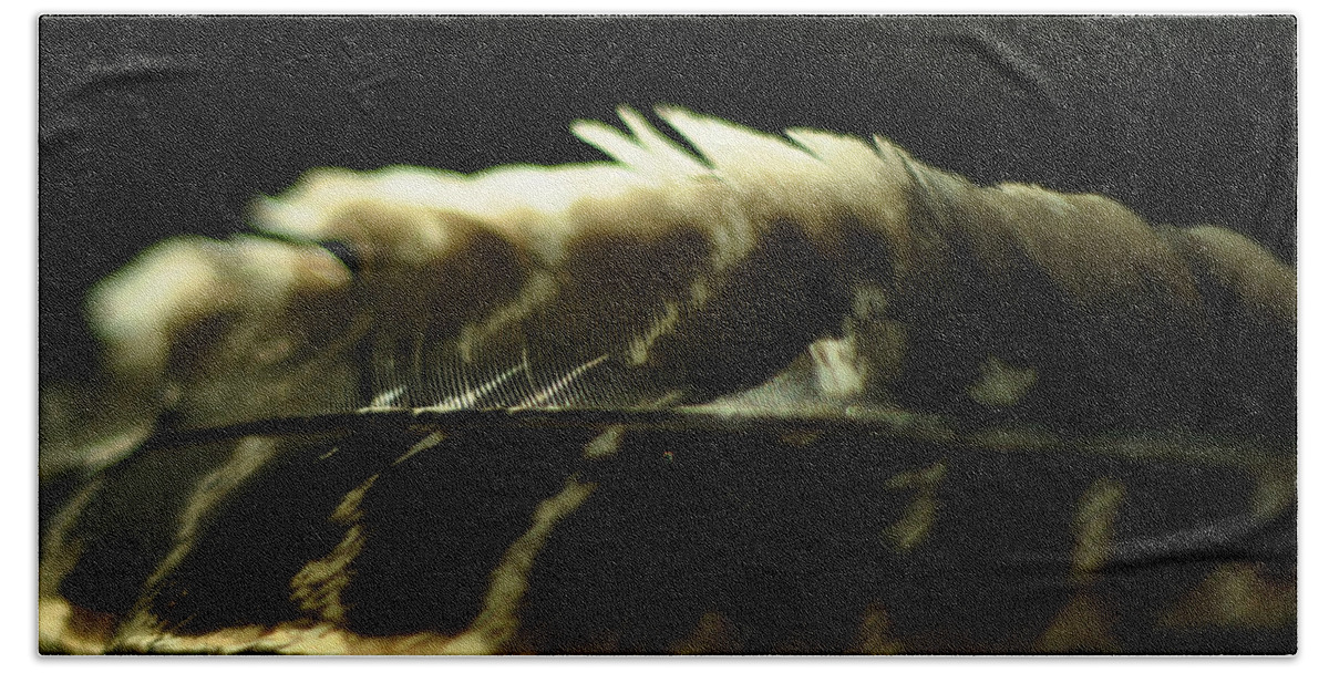 Hawk Feather Bath Towel featuring the photograph Hawk Feather #1 by Rebecca Sherman
