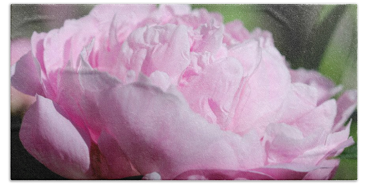 Peony Hand Towel featuring the photograph Peony named Shirley Temple #1 by J McCombie