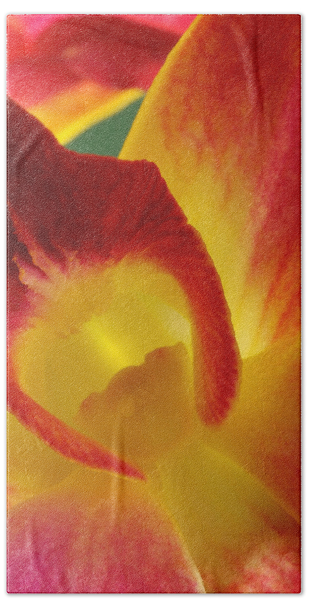Dendrobium Hand Towel featuring the photograph Photograph of a Hope orchid Flower #1 by Perla Copernik