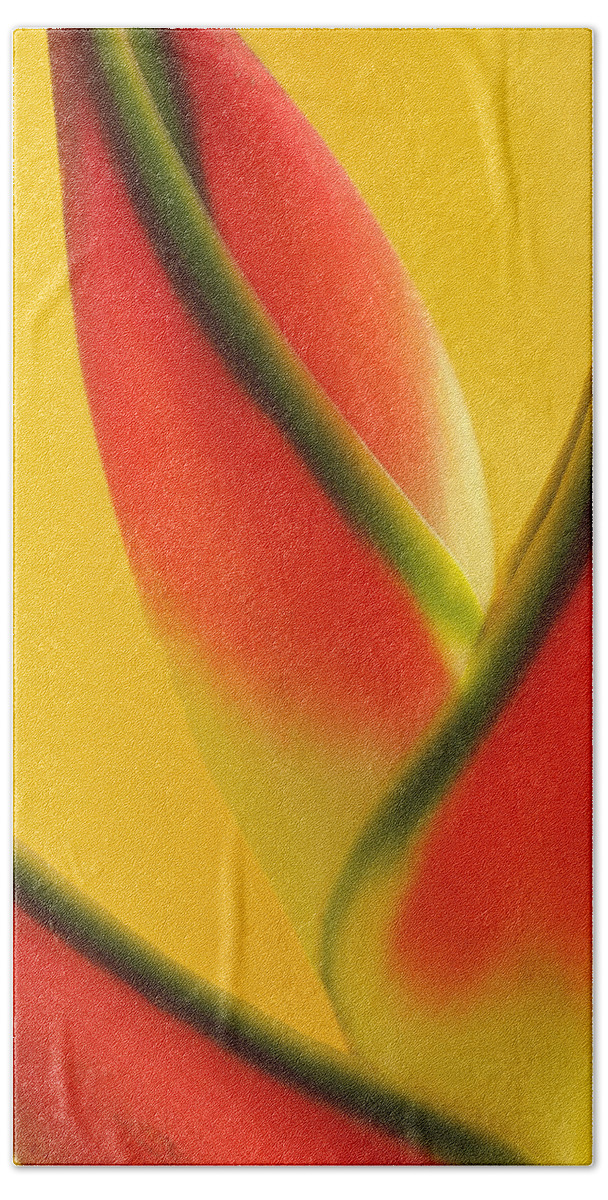 Flowers Hand Towel featuring the photograph Photograph of a Lobster Claws Heliconia #2 by Perla Copernik
