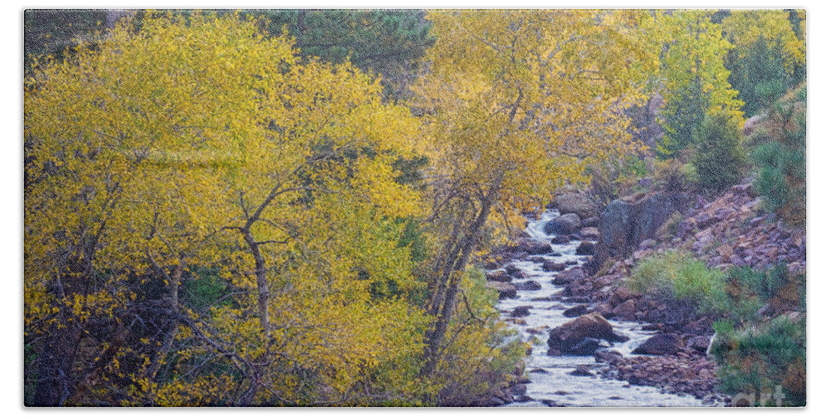 Autumn Bath Towel featuring the photograph St Vrain Canyon and River Autumn Season Boulder County Colorado #2 by James BO Insogna