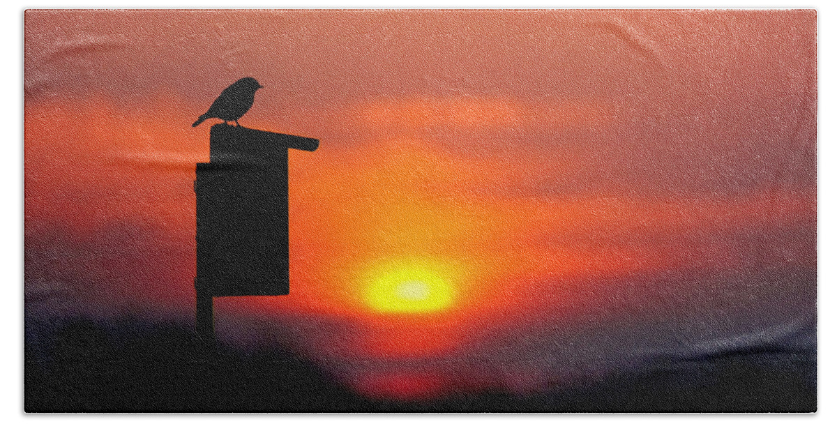 Bird Hand Towel featuring the photograph The Early Bird #1 by Bill Pevlor