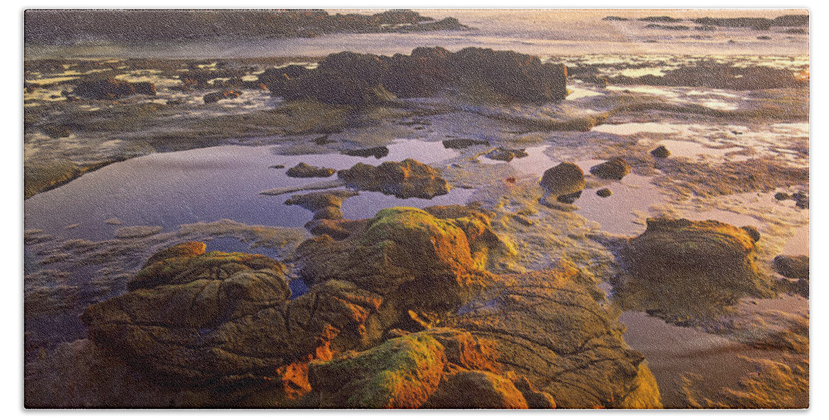 00175697 Bath Towel featuring the photograph Tidepools Exposed At Low Tide Botanical #1 by Tim Fitzharris