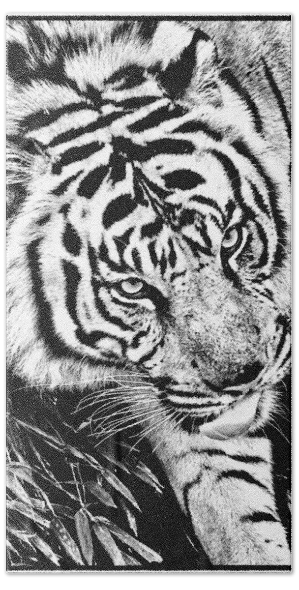Tiger Bath Towel featuring the photograph Tiger #2 by Perla Copernik