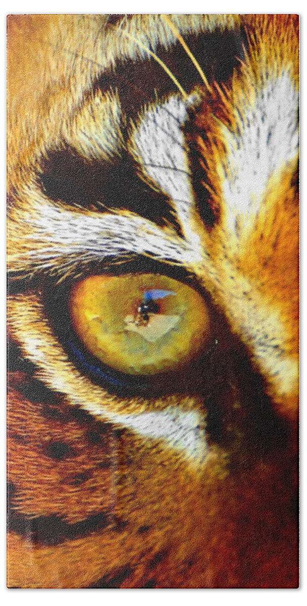 Tiger Hand Towel featuring the photograph Tigers Eye #1 by Marlo Horne