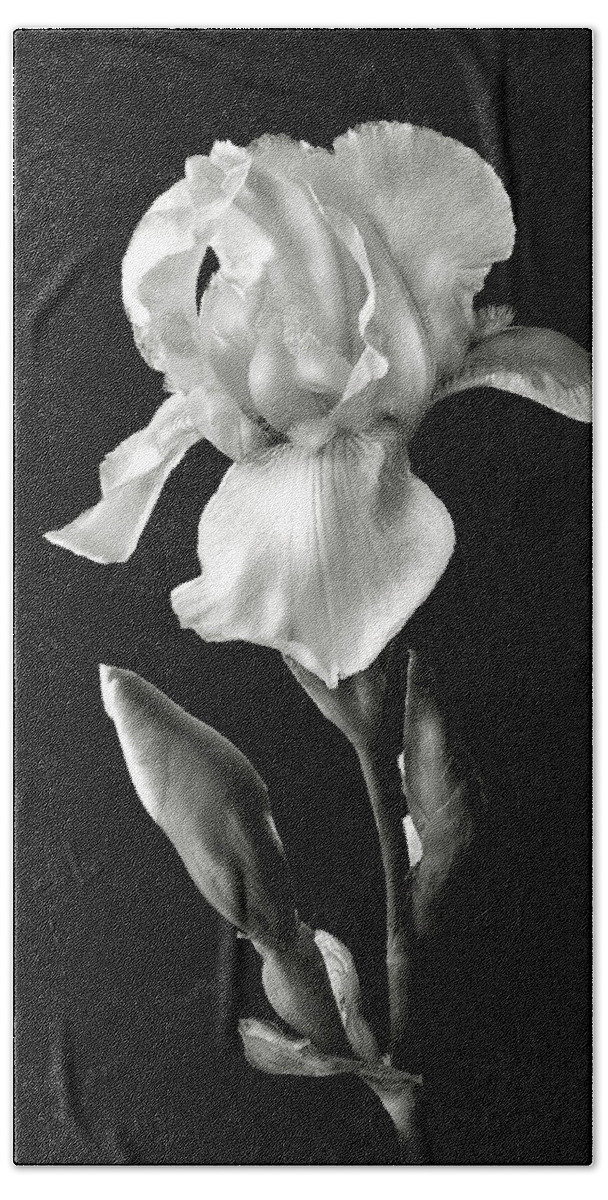 Flower Bath Towel featuring the photograph White Iris in Black and White #1 by Endre Balogh