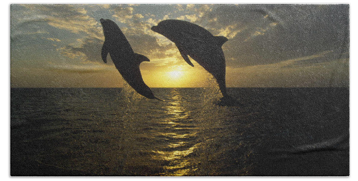 Mp Bath Towel featuring the photograph Bottlenose Dolphin Tursiops Truncatus #2 by Konrad Wothe
