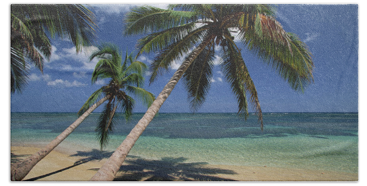 Mp Hand Towel featuring the photograph Coconut Palm Cocos Nucifera Trees #2 by Konrad Wothe