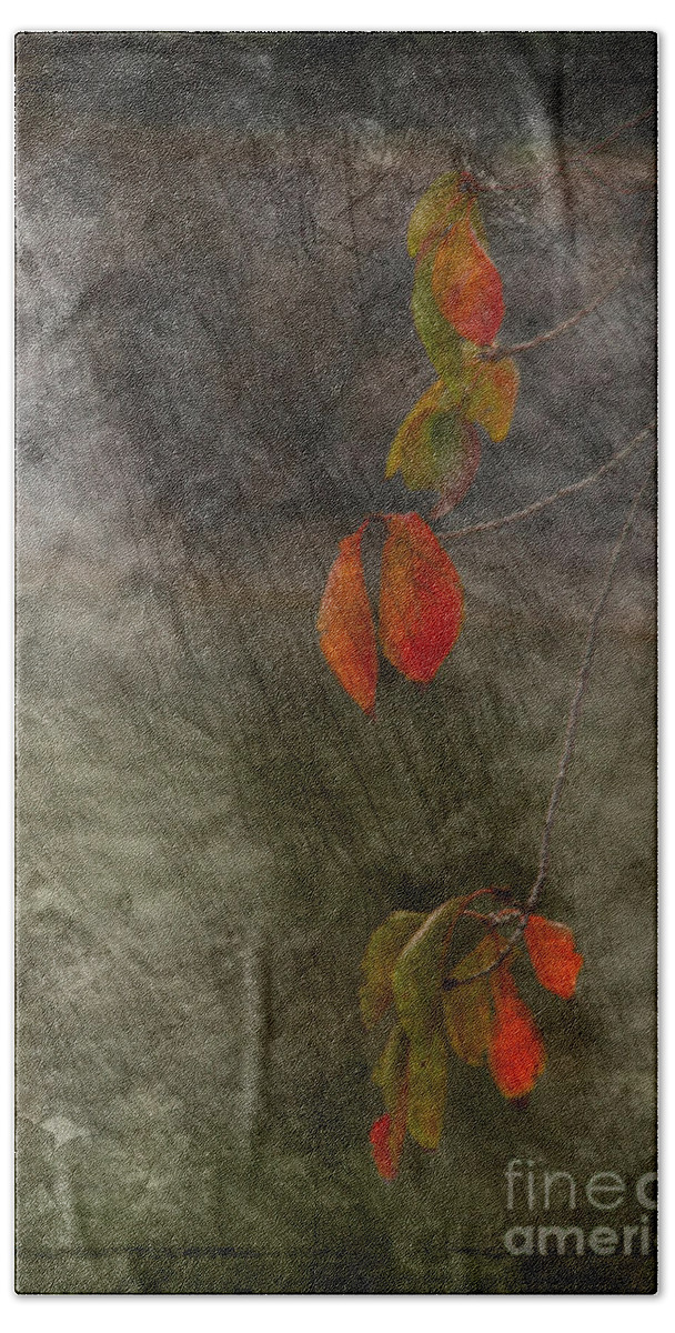Autumn Hand Towel featuring the photograph Colours of Autumn #2 by Eena Bo