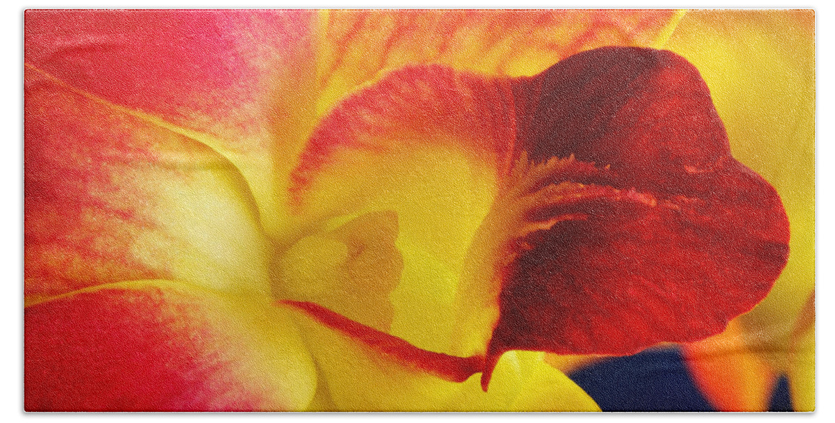 Dendrobium Bath Towel featuring the photograph Dendribium malone or Hope orchid Flower #2 by Perla Copernik
