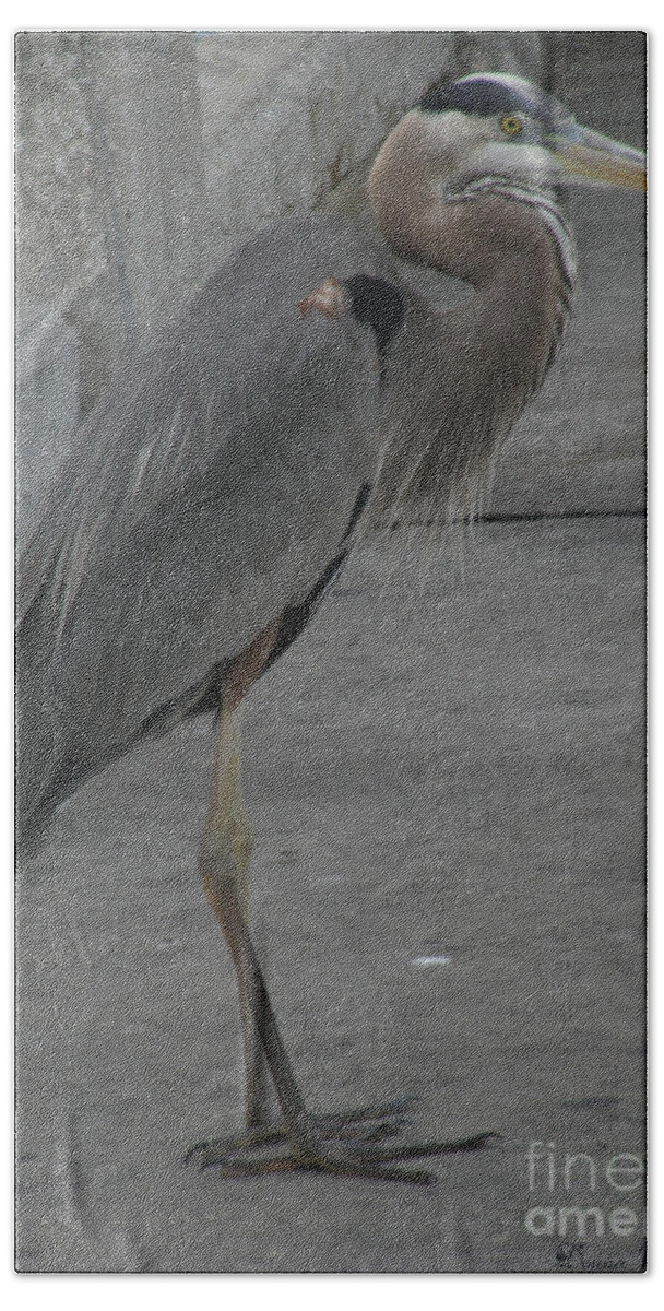 Bird Bath Towel featuring the photograph Great Blue Heron #2 by Donna Brown