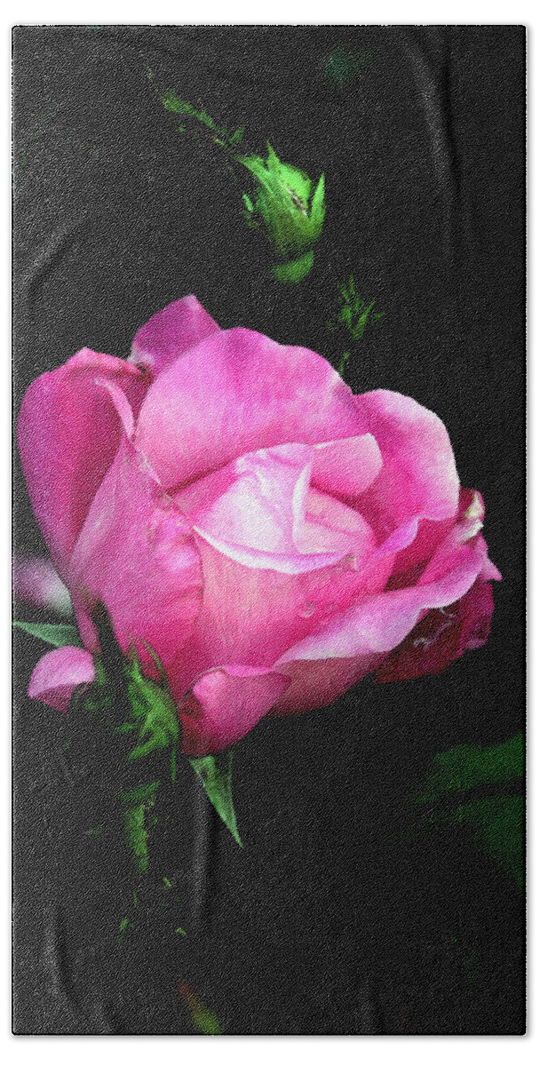 Rose Hand Towel featuring the photograph Regal Rose by Karen Harrison Brown