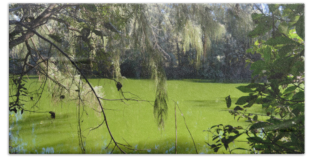 Everglades Bath Towel featuring the photograph 20- Gator Swamp by Joseph Keane